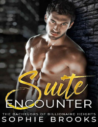 Sophie Brooks — Suite Encounter: A Standalone Steamy Billionaire Romance