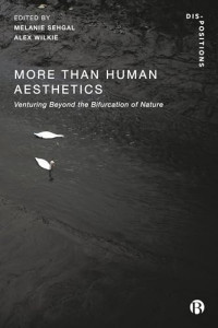 Melanie Sehgal, Alex Wilkie — More-Than-Human Aesthetics