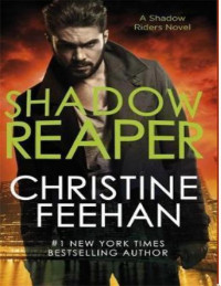 Christine Feehan — Shadow 02