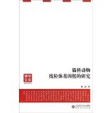 WEI LEI — Research feline mitochondrial genome(Chinese Edition) 猫科动物线粒体基因组的研究