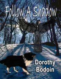 Dorothy Bodoin [Bodoin, Dorothy] — Follow a Shadow (The Foxglove Corners Series Book 14)