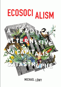 Michael Löwy — Ecosocialism