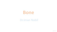 Iman Nabil — Bone Components