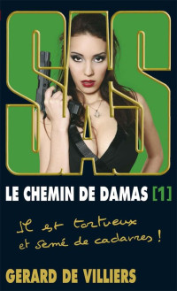 de Villiers, Gérard — SAS T193 : Le Chemin De Damas T01