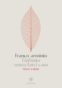 Franco Arminio — L'infinito senza farci caso