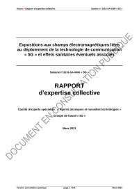 Estelle WESTERBERG — Modele rapport expertise DER MAJ 2020