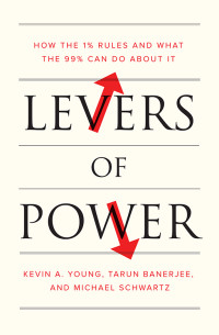 Kevin A. Young;Tarun Banerjee; & Tarun Banerjee & Michael Schwartz — Levers of Power