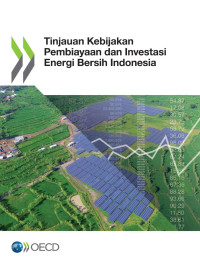 Tim Penyusun — Tinjauan Kebijakan Pembiayaan dan Investasi Energi Bersih Indonesia