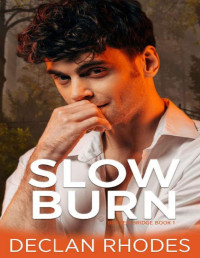 Declan Rhodes — Slow Burn: Brazen Bridge Book 1