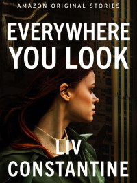 Constantine, Liv — Everywhere You Look (Never Tell #1)