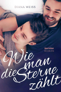 Diana Wintermeer — Wie Man Die Sterne Zählt: Love Is Love Roman