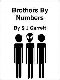 Steve Garrett — Brothers By Numbers