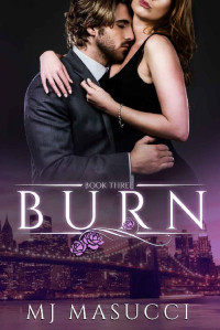 MJ Masucci — Burn: Book 3 (The Heat Series)