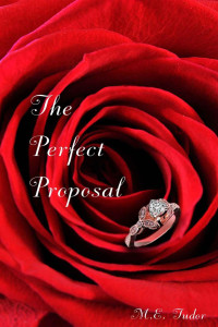 M.E. Tudor — The Perfect Proposal: A Sequel to The Wrong Place at the Right Time
