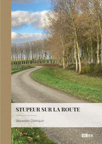 Distriquin, Sébastien — Stupeur sur la route (French Edition)