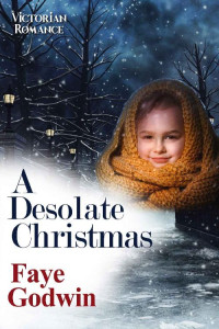 Faye Godwin — A Desolate Christmas