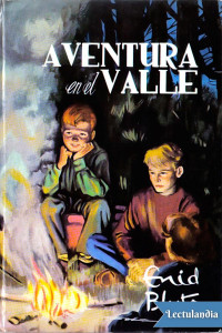 Enid Blyton — Aventura en el valle