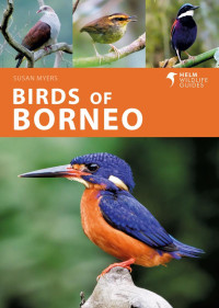 Susan Myers — Birds of Borneo