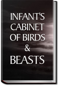 Unknown — Infant's Cabinet of Birds & Beasts