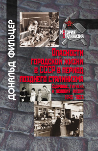 Дональд Фильцер — Опасности городской жизни в СССР в период позднего сталинизма. Здоровье, гигиена и условия жизни 1943-1953 [litres]