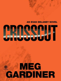 Gardiner, Meg — Evan Delaney 04-Crosscut