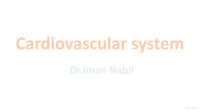 Iman Nabil — Cardiovascular System