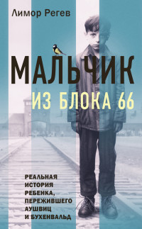 Лимор Регев — Мальчик из Блока 66. Реальная история ребенка, пережившего Аушвиц и Бухенвальд