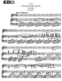 WBaxley  Music, Subito Music Corp, & Stephens Pub. Co. — Mid Romantic Lieder: Liszt Songs