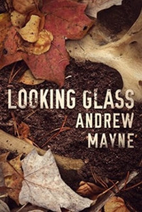 Andrew Mayne — Looking Glass