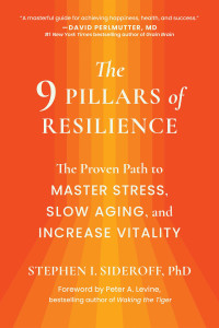 Stephen I. Sideroff — The 9 Pillars of Resilience: The Proven Path to Master Stress, Slow Aging, and Increase Vitality