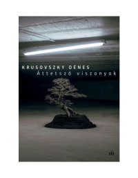 Krusovszky Dénes  — Áttetsző viszonyok