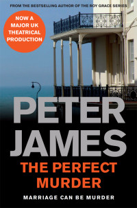 Peter James — The Perfect Murder