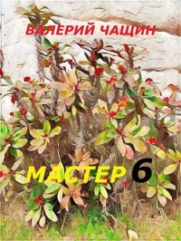 Валерий Чащин — Мастер 6