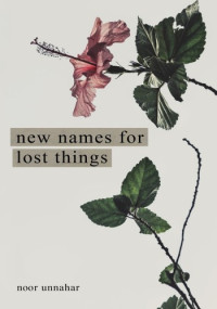 Noor Unnahar — New Names for Lost Things