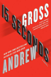 Andrew Gross — 15 Seconds