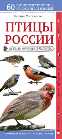 Ксения Борисовна Митителло — Птицы России. Наглядный карманный определитель