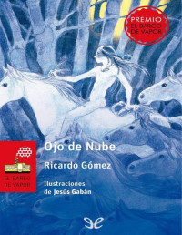 Ricardo Gómez — OJO DE NUBE