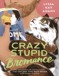 Lyssa Kay Adams — Crazy Stupid Bromance (Bromance Book Club #3)