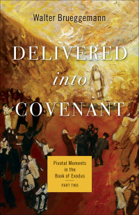 Walter Brueggemann;Brent A. Strawn; — Delivered Into Covenant