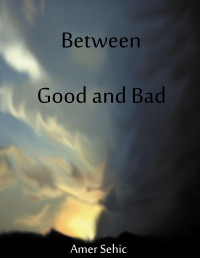 Sehic, Amer — Between Good and Bad