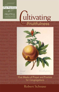 Robert Schnase; — Cultivating Fruitfulness