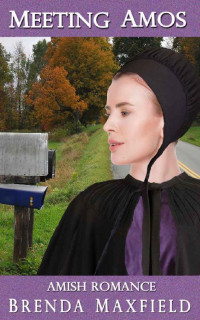 Brenda Maxfield — Meeting Amos (Hollybrook Amish Days 053 Rebecca's Story 03)