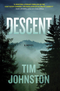 Tim Johnston — Descent