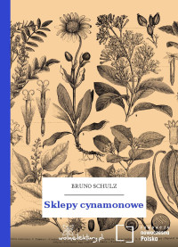 Bruno Schulz — Sklepy cynamonowe