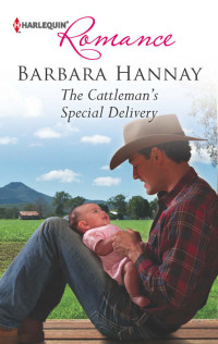 Barbara Hannay — The Cattleman's Special Delivery