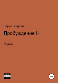 Борис Валерьевич Башутин — Пробуждение 2