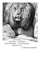 Thomas Landseer — Engravings of Lions, Tigers, Panthers, Leopards, Dogs, &c.