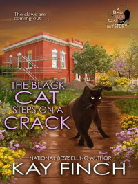 Kay Finch [Finch, Kay] — The Black Cat Steps on a Crack