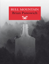 Brian Panowich — Bull Mountain