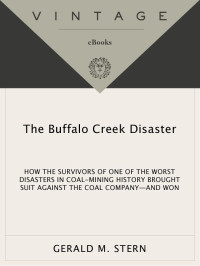 Gerald M. Stern — The Buffalo Creek Disaster